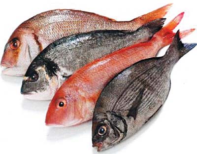 Cách kho cá nục biển ngon